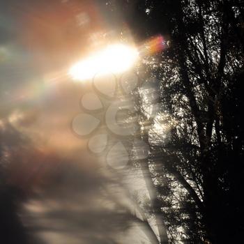Lens flare and tree branches abstract light leak. Landscape blur partial distortion through painted glass.