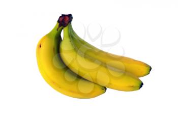 Cluster of ripe bananas. Tropical yellow fruit on white background.