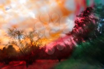 Colorful abstract landscape trees blur and forest path through paint smudged lens.