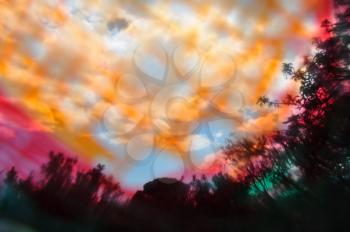 Trees and branches blur silhouette abstract colorful landscape through painted lens.