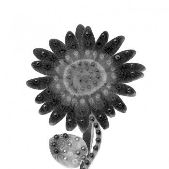 Electric sideshow daisy flower display with flashing lights. Black and white.