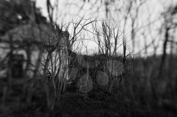 Old abandoned house in the woods and blurry trees. Black and white.