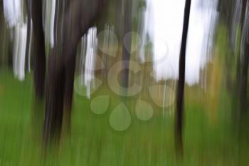 Tree trunks and cabin in the woods motion blur. Abstract nature forest landscape.