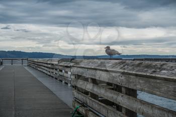 View of the pier at Dash Point, Washington with overcast skies and the Puget Sound.