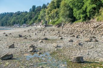 A rocky seabed is revealed during low tide in Des Moines, Washington.