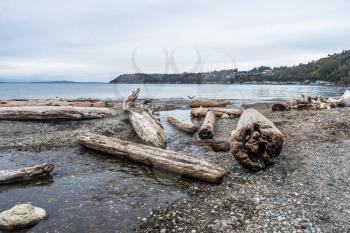 Piles of driftwood line the shore at Seahurst Beach Park in Burien, Washington.