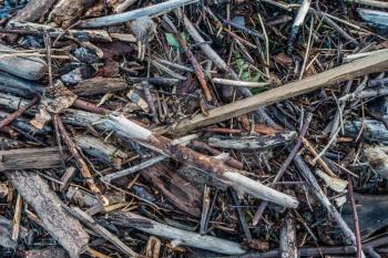 A closeup shot of a pile of dirftwood.