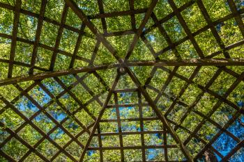 A view from beneath a large wooden gazebo. Patterns emerge.