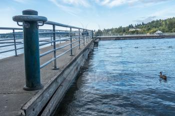 A view of a pier at Gene Coulon Park in Renton, Washington.