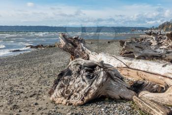 A view along the shoreline at Normandy Park, Washington on a windy day.