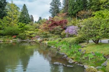 A view of a pond and garden in Seattle, Washington.