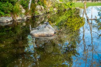Trees are refleced in a pond at Point Defiance Park as turtles sit on a rock.