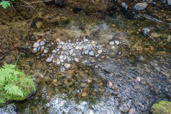 Dry rocks contrast with wet in this Pacific Northwest creek.