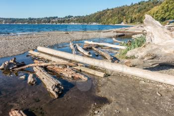 Driftwood logs lay on the ground at Seahurst Beach in Burien, Washington.