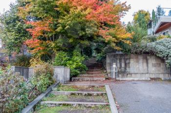 Steps go up through Autumn trees in Burien, Washington.