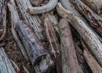 Large drifwood logs piled together to make an interestesting backgrund
