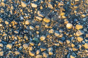 A closeup shot of shoreline rocks in the Pacific Northwest. Background shot.
