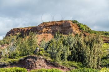 A view of a hill with red soild on Maui, Hawaii.