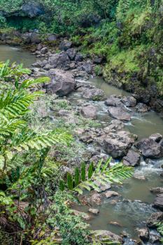 A river flows down a valley on the road to Hana on Maui, Hawaii.