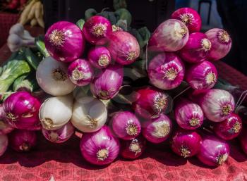 Coseup of bunches of red onions for sale at a farmers market. Background or texture.