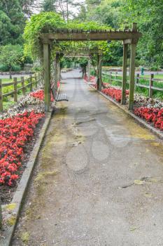 A view of flowers and walkway at the rose garden in Point Defiance Park in Tacoma, Washington.