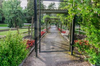 A view of a gate and walkway at the rose garden in Point Defiance Park in Tacoma, Washington.