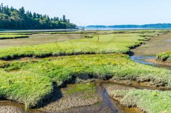 Grass mounds and mud flats at the Nisqually Wetlands near Olympia, Washington.