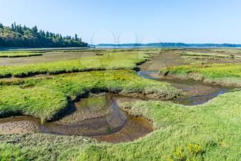 Grass mounds and mud flats at the Nisqually Wetlands near Olympia, Washington.