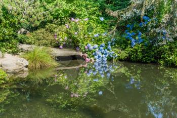 Flowers are reflected in a pond at a garden in Renton, Washington.
