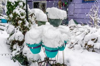Planters topped with snow resemble showcones.