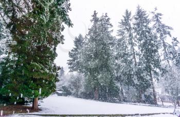 A snow storm begins in Burien, Washington.