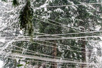 Snow falls on crisscrossing wires above a city street.