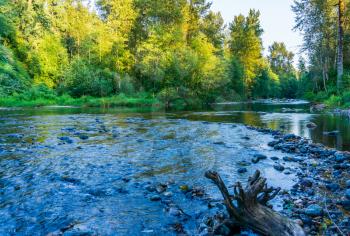 A scenic landscape shot of the Cedar River in Maple Valley, Washington.