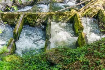 A view of a fish ladder downstream from Tumwater Falls in Washington State.