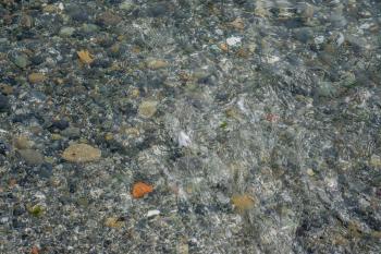 The sea bottom can be seen through clear water. Background shot.
