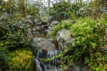 A view of a pond and plants inside a conservatroy in Fedreal Way, Washington.