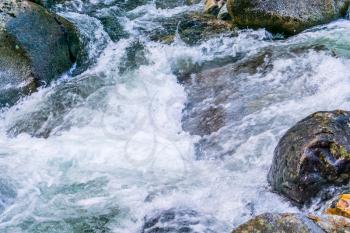 A close-yo shot of rushing whitewater in a Pacific Northwest creek.