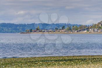 A view of waterfront homes along Three Tree Point in Burien, Washington.