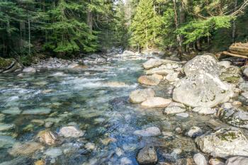Clear water flows past and over rocks in Denny Creek in Washington State.