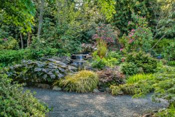A veiw of a garden with bushes and flowers in Seatac, Washington.