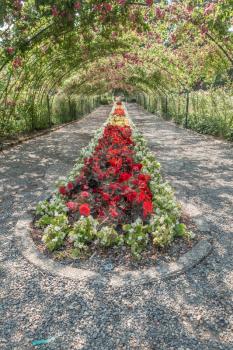 A arbor of Roses covers a center garden at Point Defiance Park in Tacoma, Washington.