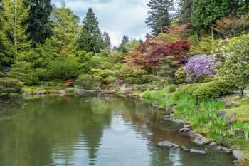 A view of a pond and garden in Seattle, Washington.