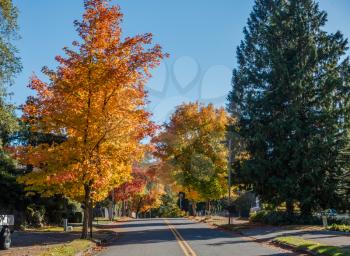 A street in Burien, Washington leads toward Autumn trees.