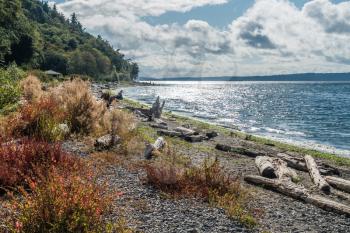 A view of the shoreline at Seahurst Beach in Burien, Washington.