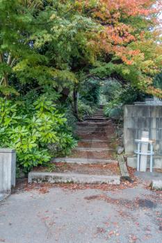 Steps go up through Autumn trees in Burien, Washington.