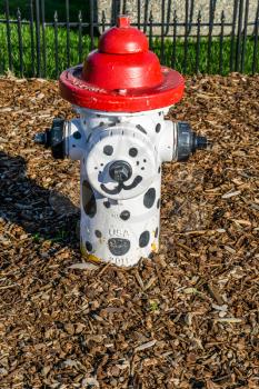 A decorative fire hydrant in Des Moines, Washingotn.