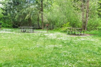 Picnic tables and white spring flowers at Dash Point State Park in Washington State.