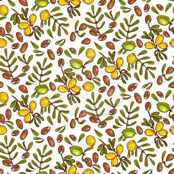 Seamless pattern branches, leaves, nuts, fruits, argan tree ironwood . Suitable for packing Argan oil creams. Vector illustration of a hand drawn style.Texture for scrapbooking, wrapping paper, .