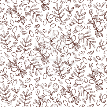 Seamless pattern branches, leaves, nuts, fruits, argan tree ironwood . Suitable for packing Argan oil creams. Vector illustration of a hand drawn.Texture for scrapbooking, wrapping paper, textiles.