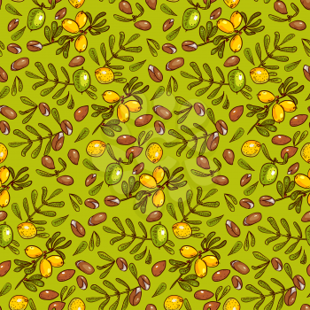 Seamless pattern branches, leaves, nuts, fruits, argan tree ironwood . Suitable for packing Argan oil creams. Vector illustration of a hand drawn.Texture for scrapbooking, wrapping paper, textiles.